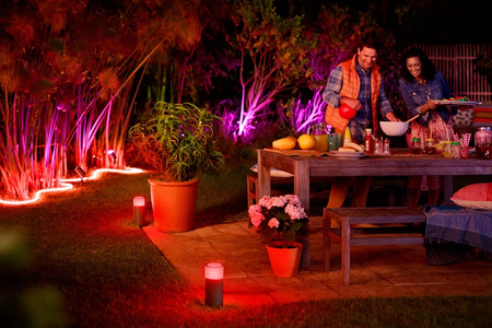 Taśma LED Zewnętrzna Pasek NEON 2m 19.5W 765lm IP67 White and Color Ambiance Biała Inteligentna SMART Zigbee Bluetooth Outdoor Strip Philips HUE