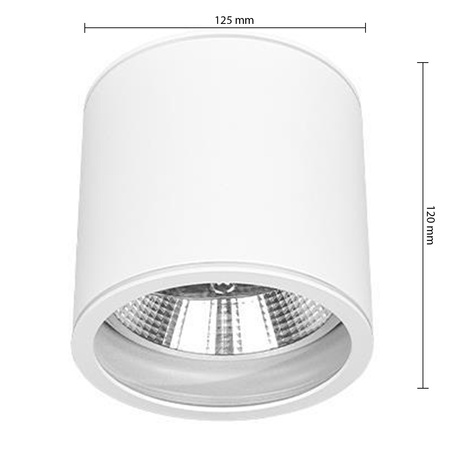 Oprawa Natynkowa Halogenowa Tuba Reflektor Spot GU10 Okrągła Biała Masterled