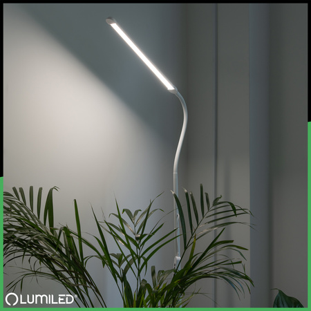 Lampa Stojąca Podłogowa Stołowa LED 14W CCT Ściemnialna z Regulacją Wysokości LONGA 2 Biała LUMILED