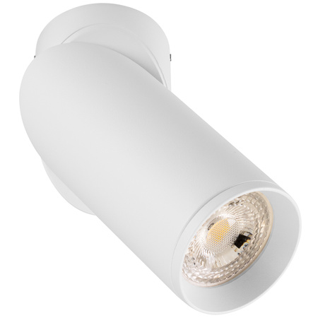 Lampa Sufitowa SPOT TUBA Reflektor Oprawa Halogenowa 1x GU10 TABULA LUMILED