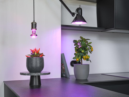 Żarówka LED do Roślin E27 20W 650lm 110° Wspomagająca Wzrost Doświetlająca STAR GROW Osram