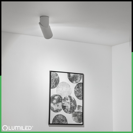 Lampa Sufitowa SPOT TUBA Reflektor Oprawa Halogenowa 1x GU10 TABULA LUMILED