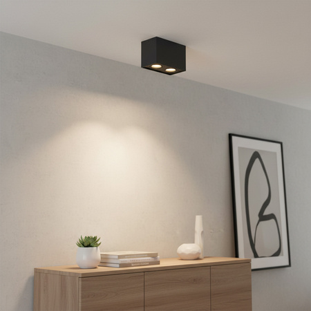 Oprawa sufitowa natynkowa Hadar Q2 2xGU10 ruchoma prostokąt czarna