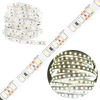 Taśma LED Pasek 12V 48W 600LED 2835 Zimna 8mm 5m