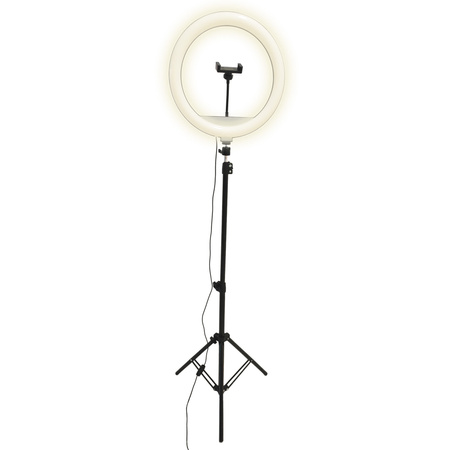 Lampa Podłogowa LED 15W 330lm 2700-4000-6500K Ciepła 360° Czarna Ściemnialna SELFIE Sanico Goldlux