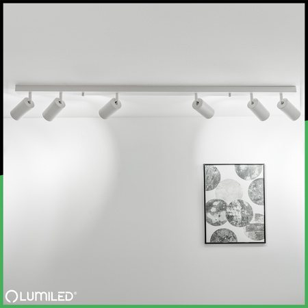 Lampa Sufitowa SPOT TUBA Reflektor Oprawa Halogenowa 6x GU10 TABULA LUMILED