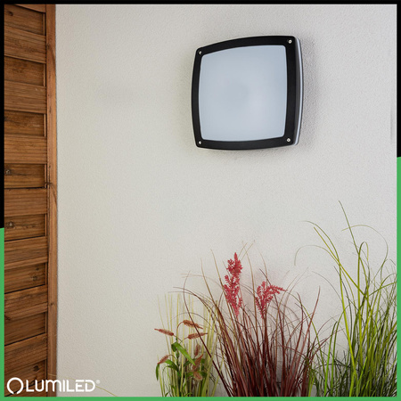 Lampa Ogrodowa Kinkiet Elewacyjny Plafon 2x E27 Kwadratowy LARIS LUMILED