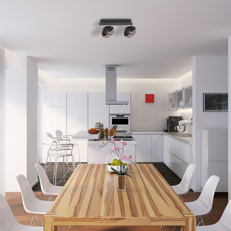 Lampa Sufitowa LOGAN 2xE14 Milagro