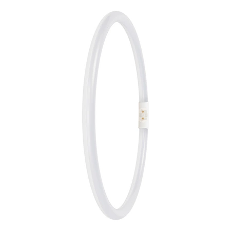 Świetlówka LED Kołowa 2GX13 T5 21.5W 3200lm 4000K Neutralna 120° Ledvance