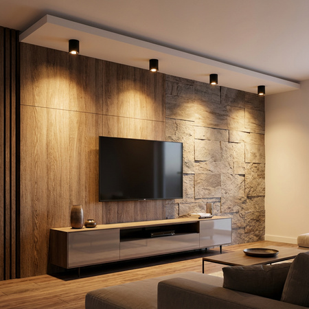 Oprawa Sufitowa Natynkowa Stała Okrągła APUS 10 Spot TUBA Czarna E27