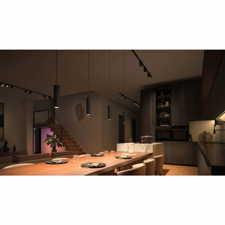 Lampa Sufitowa Oprawa Wisząca LED Perifo Czarna 5,2W CCT RGB Philips HUE Bluetooth