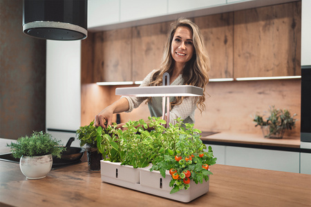 Lampa oświetlenie wewnętrzne LED 20W 3550K wspomagające wzrost roślin LEDVANCE