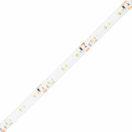Taśma LED Pasek 12V 24W 300LED 2835 Zimna IP65 8mm 5m
