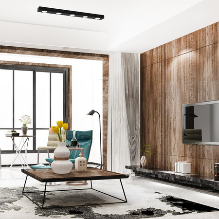 Lampa Sufitowa ALEXANDER 5xGX53 Milagro