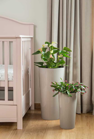 Donica Stożek Ogrodowa z Wkładem Doniczka Dekoracyjna 40x40cm Domowa Okrągła do Kwiatów Czarna POŁYSK