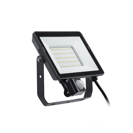 Naświetlacz LED 30W 2700lm 3000K IP65 z Czujnikiem Ruchu i Zmierzchu ProjectLine Floodlight PHILIPS