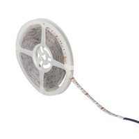 Taśma LED Pasek LEDS-B 72W RGB IP54 12V DC 5m KANLUX
