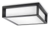 Lampa Ogrodowa Zewnętrzna Plafon 2x E27 IP44 Antracyt Skies Philips