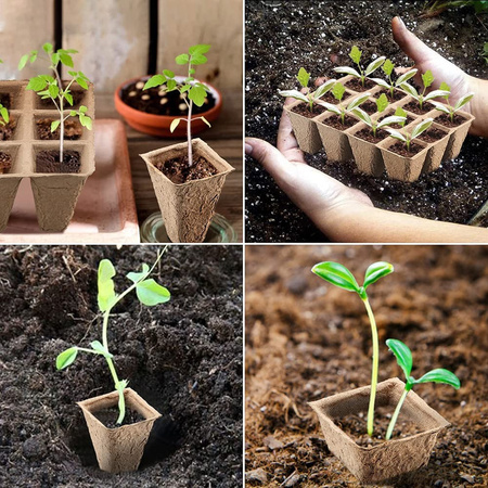 Zestaw 10x Paletka Torfowa 3x4 15,5 x 11,5 cm do Rozsady Wysiewu Pikowania Na Sadzonki Biodegradowalne Kwadrat