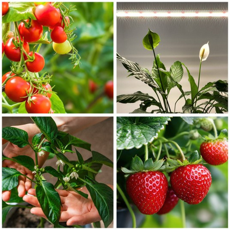 Lampka do Roślin LED Wspomagająca Wzrost 15W 1700lm 130° Biała Growly Kobi