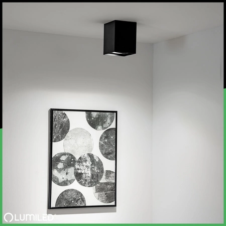 Oprawa Natynkowa HALOGENOWA Spot Tuba Ruchoma GU10 Kwadratowa Czarna 115mm AMAT-L LUMILED