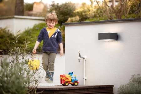 Kinkiet Ogrodowy Lampa Elewacyjna Zewnętrzna E27 IP44 Antracyt Hedgehog Philips