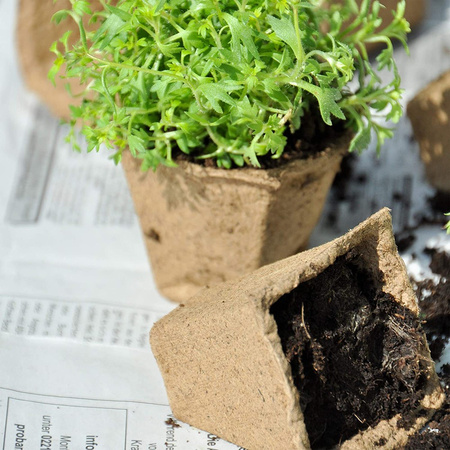 Zestaw 10x Paletka Torfowa 3x4 15,5 x 11,5 cm do Rozsady Wysiewu Pikowania Na Sadzonki Biodegradowalne Kwadrat