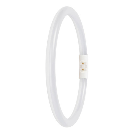 Świetlówka LED Kołowa 2GX13 T5 11.6W 1550lm 3000K Ciepła 120° Ledvance