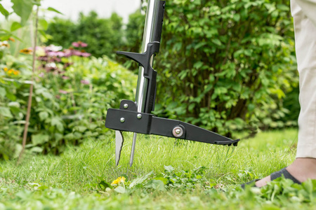 Wyrywacz Wycinak Narzędzie Ogrodowe do Usuwania Chwastów z Kostki Trawnika Regulowany IDEAL CELLFAST