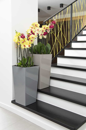 Donica Trapez Ogrodowa z Wkładem Doniczka Dekoracyjna 14x14cm Domowa Kwadratowa do Kwiatów Biała POŁYSK