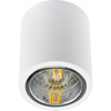 Oprawa sufitowa natynkowa tuba metalowa spot JUPITER 10 GOLDLUX (Polux) DOWNLIGHT E27