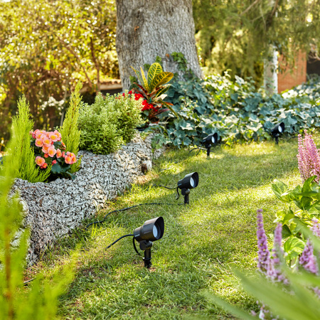 Lampa Ogrodowa Reflektor LED 6W 600lm 2700K IP44 Antracyt Low Voltage 12V Philips