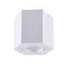 Oprawa natynkowa sufitowa Hexagon GU10 LED ruchoma SPOT biała
