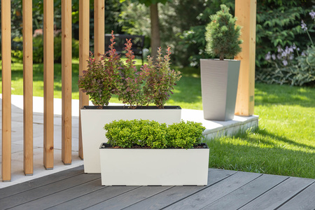 Kwietnik Donica Skrzynka z Wkładem 56 x 19cm Balkonowa Ogrodowa Domowa Biała