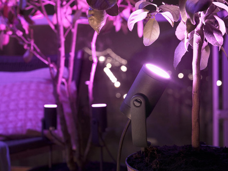 Zestaw 3x Reflektor Ogrodowy Wbijany LED 8W 590lm IP65 White and Color Ambiance RGB + TW Czarna Inteligentna SMART Zigbee Bluetooth Lily Philips HUE