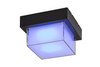 Lampa Ogrodowa Sufitowa Zewnętrzna Kinkiet Elewacyjny 10W 790lm 3000-6500K CCT RGB Ściemnialna IP54 Czarny Nowoczesny Durbe Rabalux