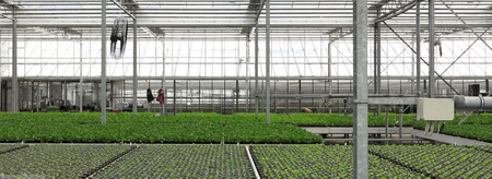 WENTYLATOR sufitowy przemysłowy wiatrak 350W 83,5 cm IP54 FENNE z siatką czarny