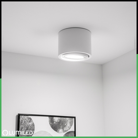 Oprawa Natynkowa HALOGENOWA SPOT TUBA Ruchoma GU10 AR111 Okrągła Biała 100mm TELES LUMILED