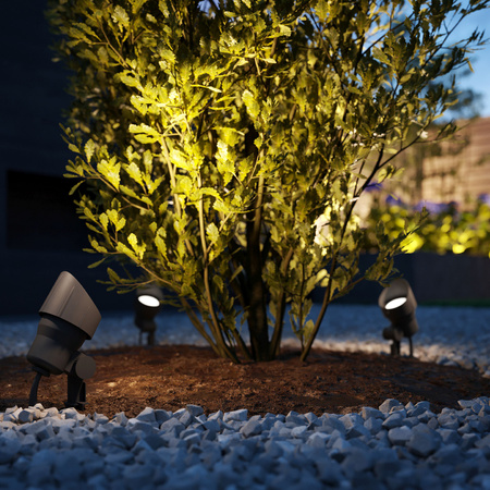 Zestaw 3x Lampa Ogrodowa Reflektor LED 6W 600lm 2700K IP44 Antracyt + Zasilacz Low Voltage 12V Philips