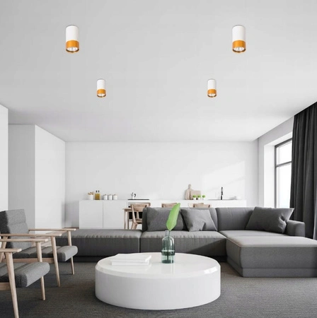 Oprawa Natynkowa Halogenowa Tuba Reflektor Spot GU10 Okrągła Biała Złota Klemens Masterled