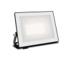 Naświetlacz LED Lampa Reflektor 20W 2050lm 3000K IP65 Czarny Lois Philips