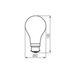 Żarówka LED B22 Edison A60 12W = 100W 1521lm 2700K Ciepła Przezroczysta XLEDIM Filament Kanlux
