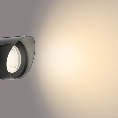 Lampa Ogrodowa Reflektor LED 6W 600lm 2700K IP44 Czarny Low Voltage 12V Philips