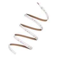 Taśma LED Pasek 60W 24V 720LED CRI≥90 6500K Zimna IP67 5m Performance Ledvance