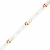 Taśma LED Pasek 12V 24W 300LED 2835 Zimna 8mm 5m