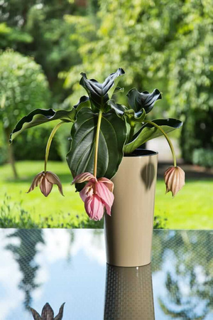 Donica Stożek Ogrodowa z Wkładem Doniczka Dekoracyjna 40x40cm Domowa Okrągła do Kwiatów Czarna POŁYSK