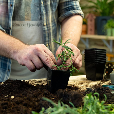 Zestaw 5x Doniczka Produkcyjna do Rozsady Pikowania Wysiewu Nasion Warzyw 11x11x12 cm