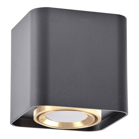 Oprawa Natynkowa Punktowa Spot GU10 Czarna Złota XENO Sanico Goldlux