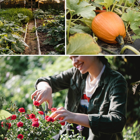 Wąż Ogrodowy 15m Kroplujący Pocący Nawadniający DRIP 1/2'' CELLFAST