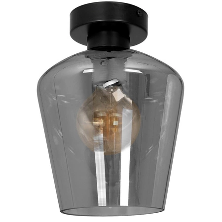 Lampa Sufitowa SANTIAGO SMOKED 1xE27 Milagro